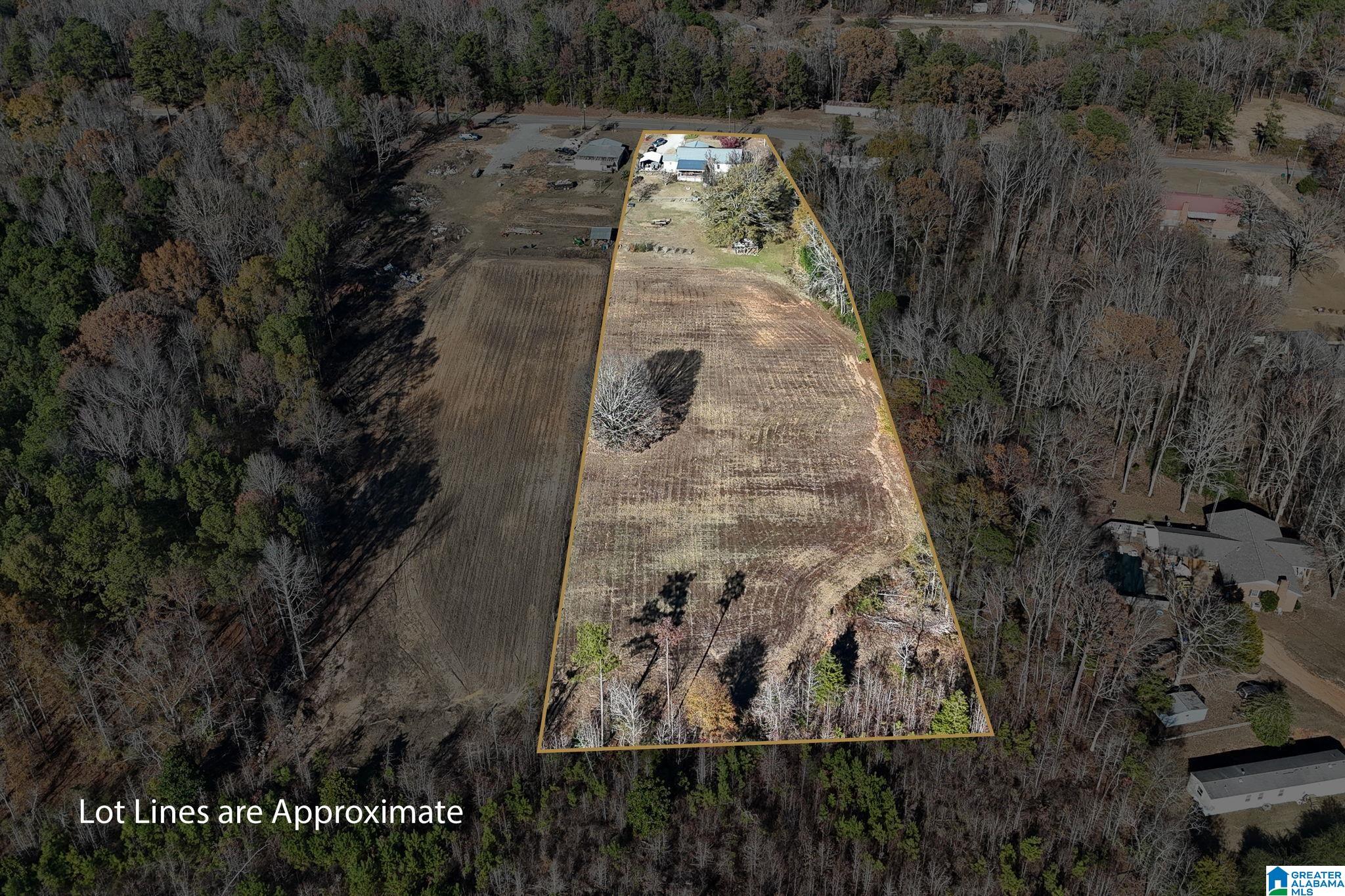 14365 Wire Road Cottondale, AL 35453 - Photo 3 of 46