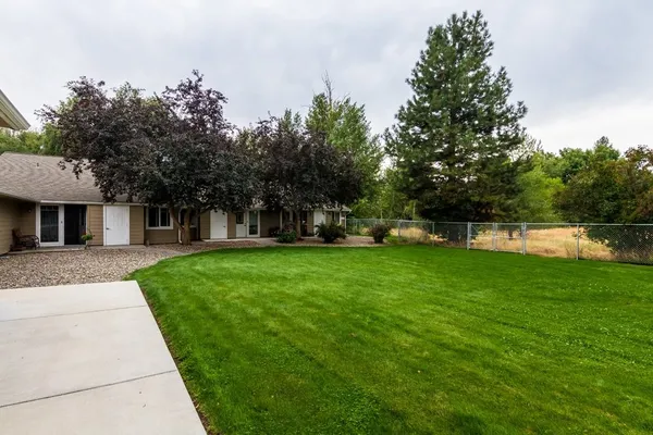 a view of house with a tree in front of it