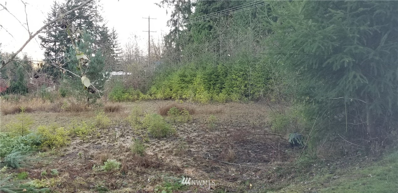 3123 Cooks Hill Road Centralia, WA 98531 - Photo 4 of 8 Gallery Image 4