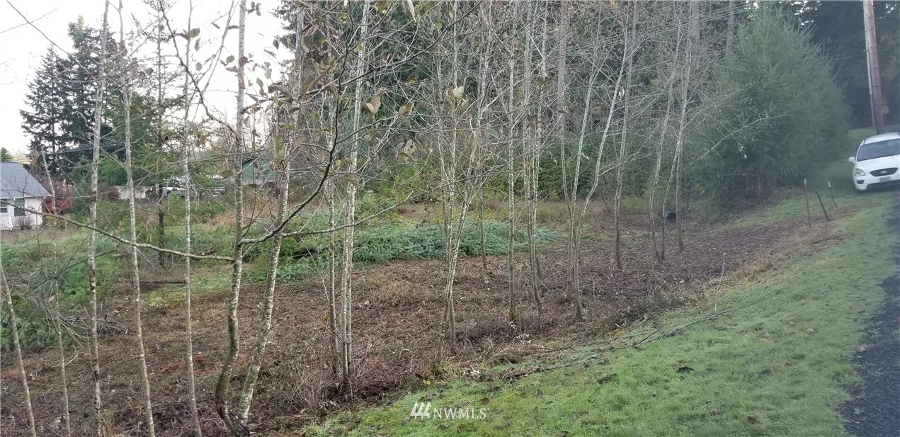 3123 Cooks Hill Road Centralia, WA 98531 - Photo 5 of 8 Gallery Image 5