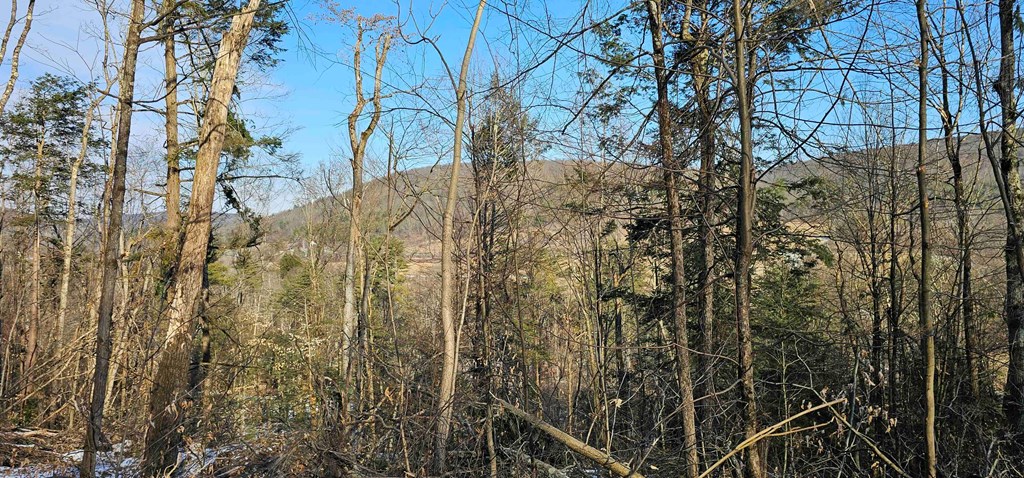 0 Jenkins Road Elmira, NY 14901 - Photo 19 of 25