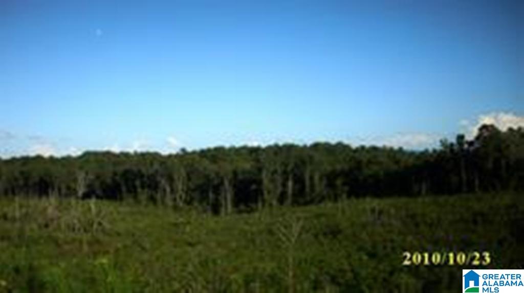 Eureka Road, Unit 1 Lincoln, AL 35096 - Photo 20 of 34