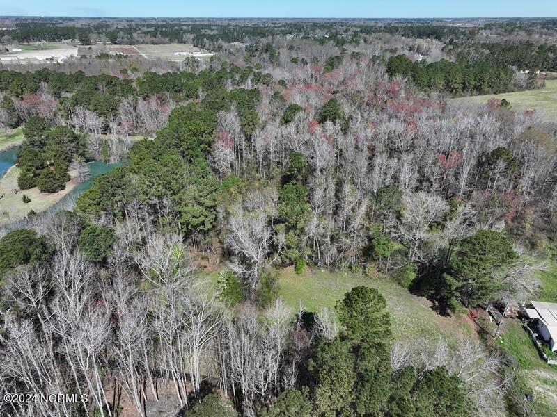 Tbd Antioch Road Lumberton, NC 28358 - Photo 1 of 9 Antioch Rd Home Site
