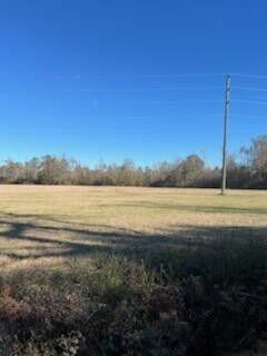 5123 Elmore Road Graceville, FL 32440 - Photo 11 of 13 20250122012416428919000000-o