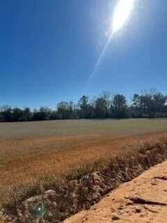 $239,000 | 5123 Elmore Road, Graceville, FL 32440