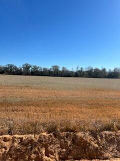 5123 Elmore Road Graceville, FL 32440 - Photo 4 of 13 20250122012414365166000000-o