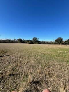 5123 Elmore Road Graceville, FL 32440 - Photo 7 of 13 20250122012412387623000000-o