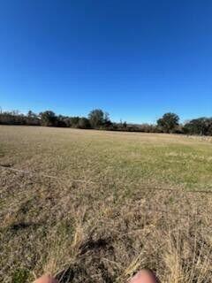 5123 Elmore Road Graceville, FL 32440 - Photo 8 of 13 20250122012413163151000000-o