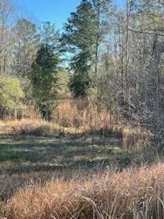 $239,000 | 5123 Elmore Road, Graceville, FL 32440