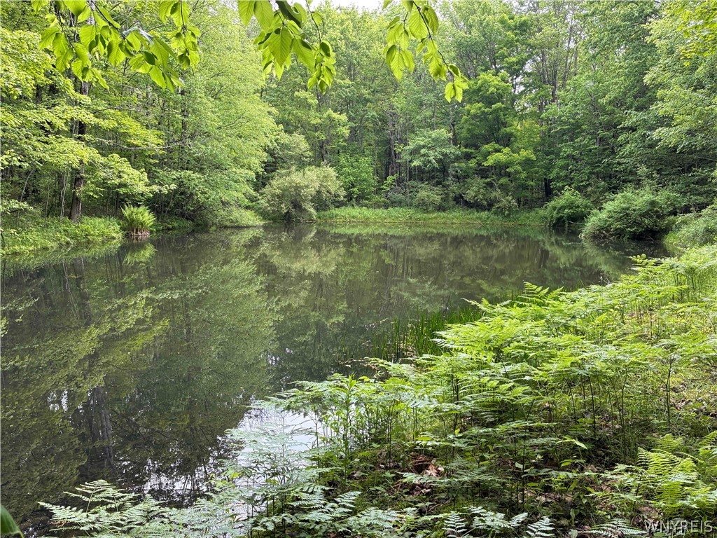 2741 Smith Hollow Road Hinsdale, NY 14760 - Photo 17 of 25
