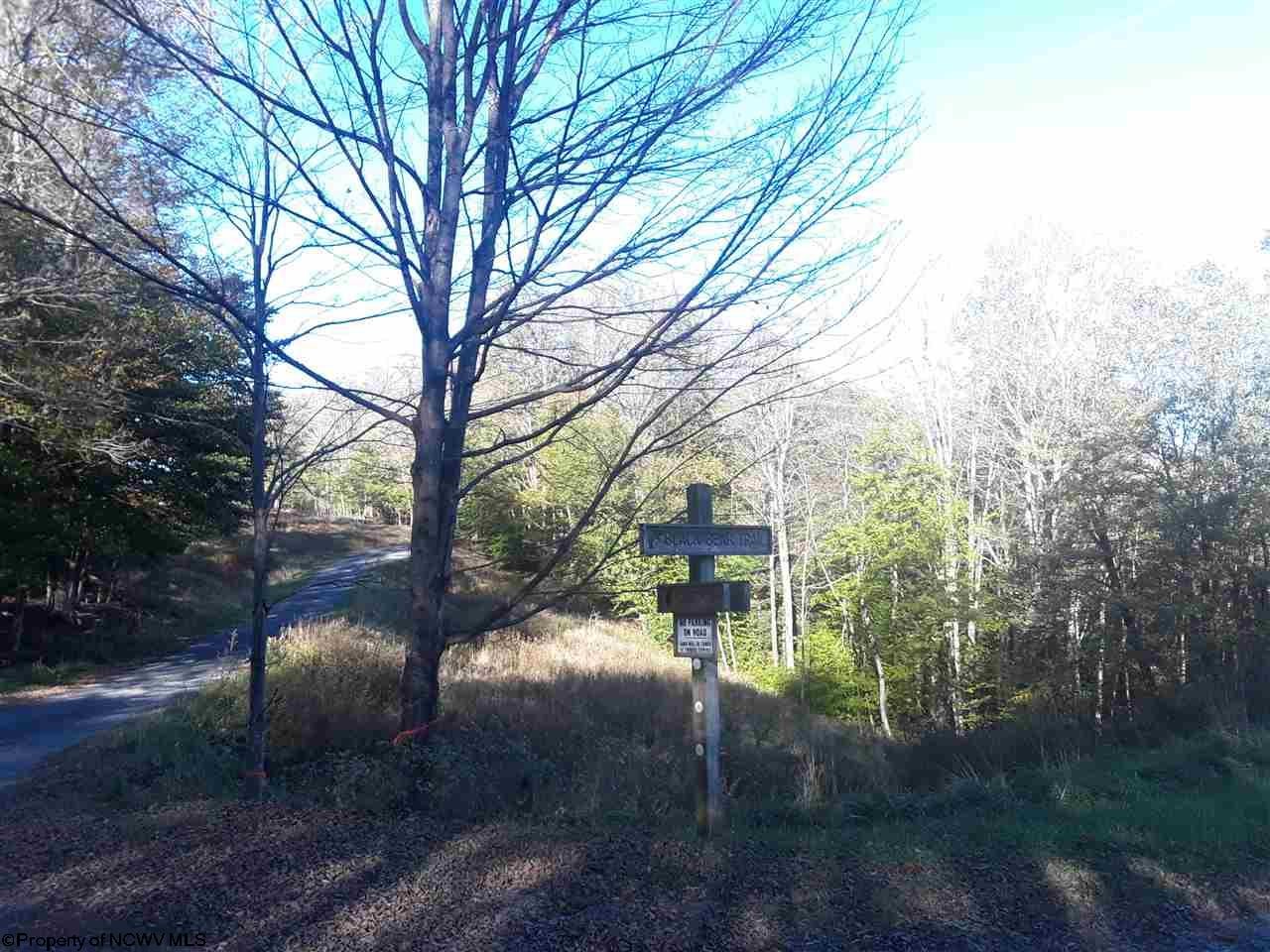13 Cub Run Road Davis, WV 26260 - Photo 5 of 20 Gallery Image 5