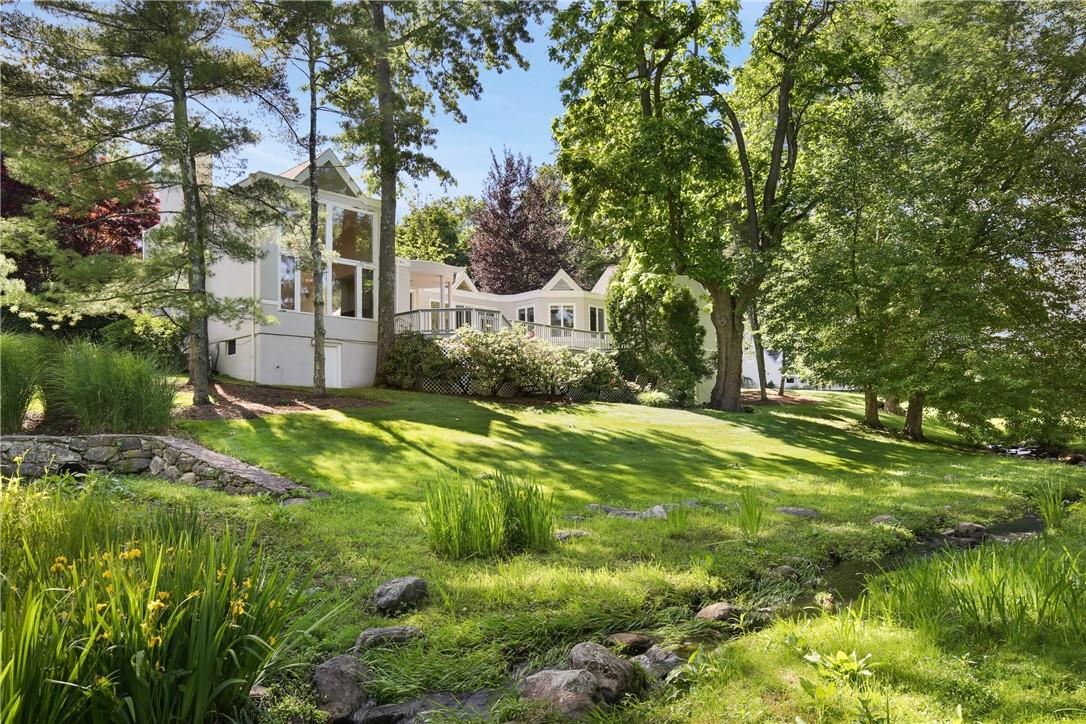 a view of a yard with plants and large trees