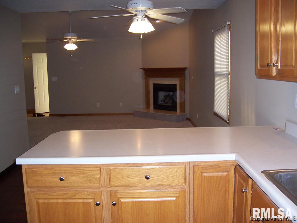 2832 Cronin Drive Springfield, IL 62711 - Photo 3 of 20
