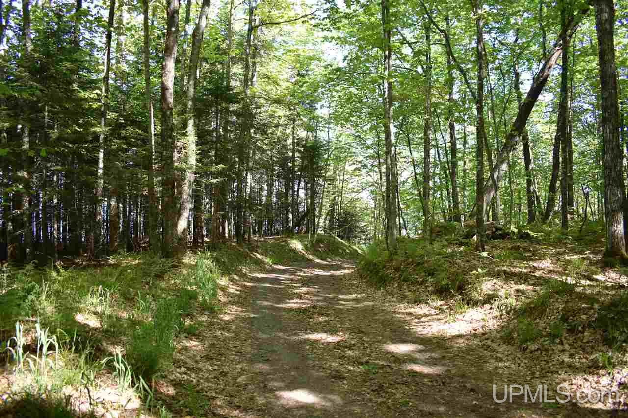 24-acres Co Rd Kb Big Bay, MI 49808 - Photo 37 of 50