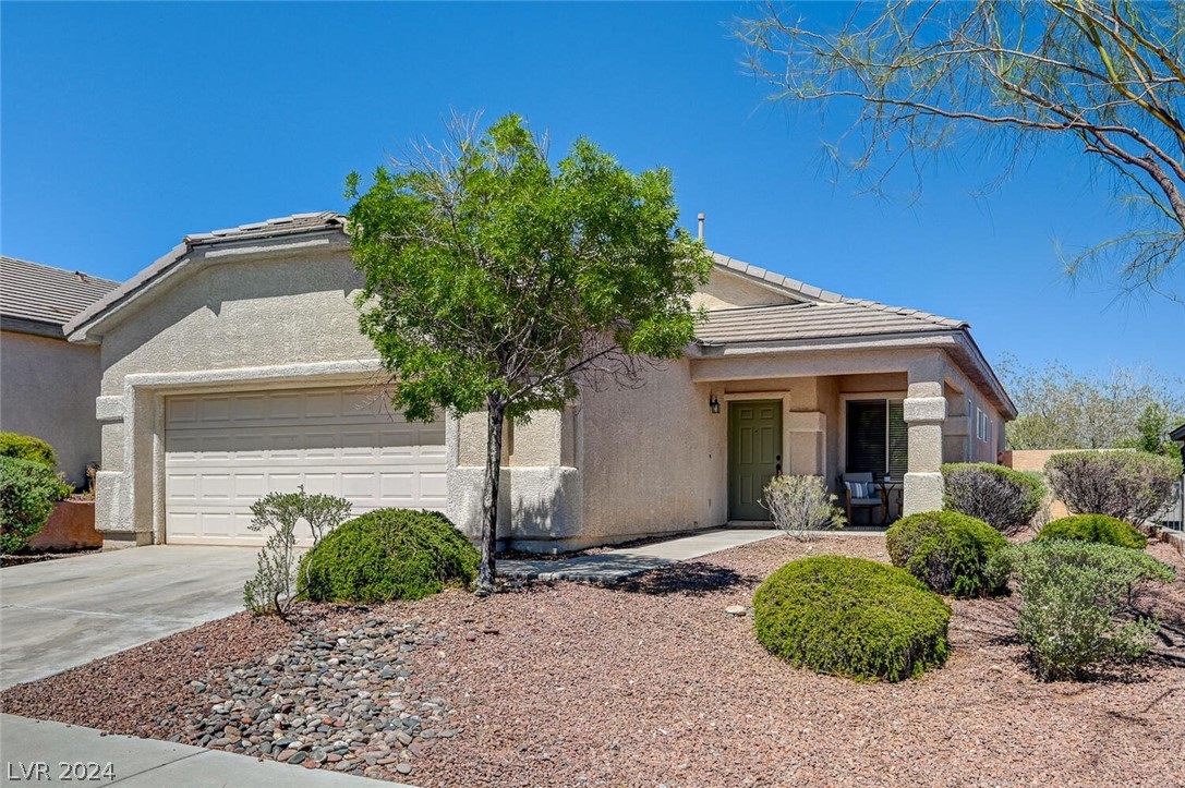 3216 Rushing Waters Place Las Vegas, NV 89135 - Photo 2 of 46