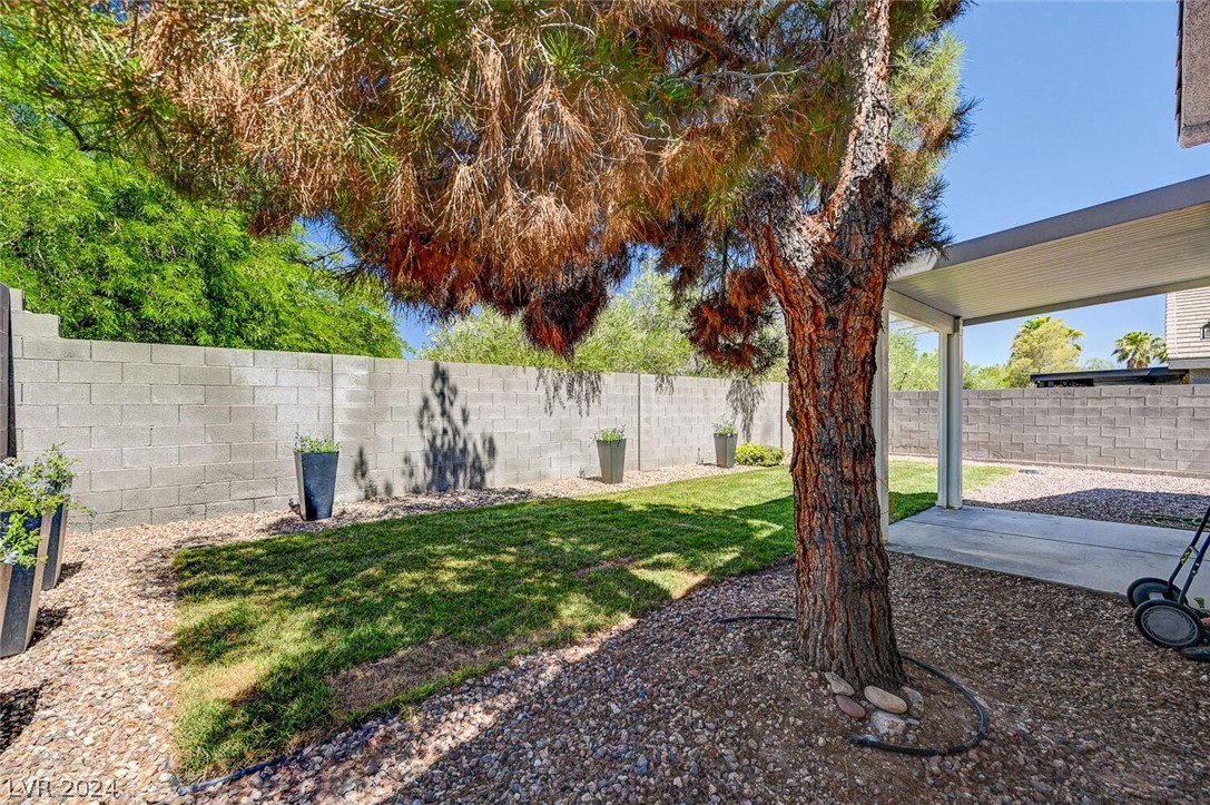 3216 Rushing Waters Place Las Vegas, NV 89135 - Photo 41 of 46