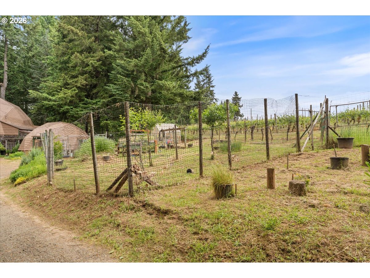 45937 Northwest Hartwick Road Banks, OR 97106 - Photo 38 of 48 Greenhouse