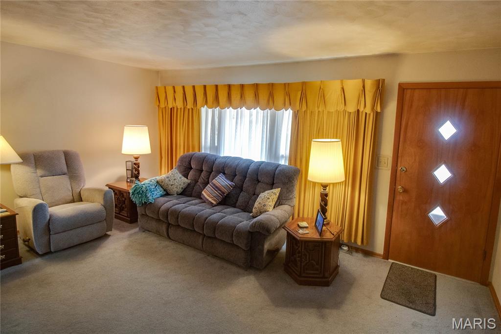 102 Avalon Street Brighton, IL 62012 - Photo 7 of 31