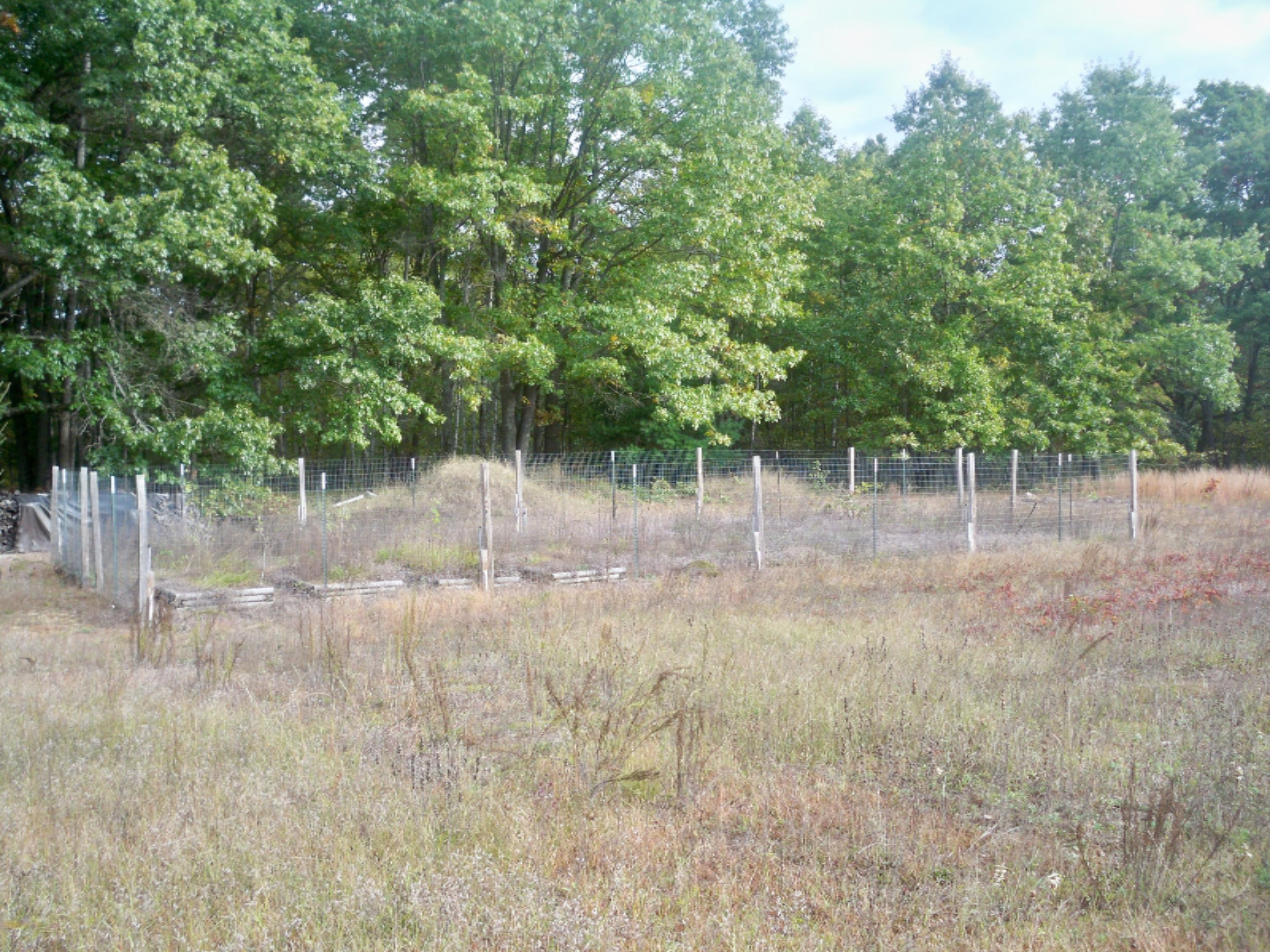 8674 East Kinney Road Branch, MI 49402 - Photo 24 of 27 100_6353