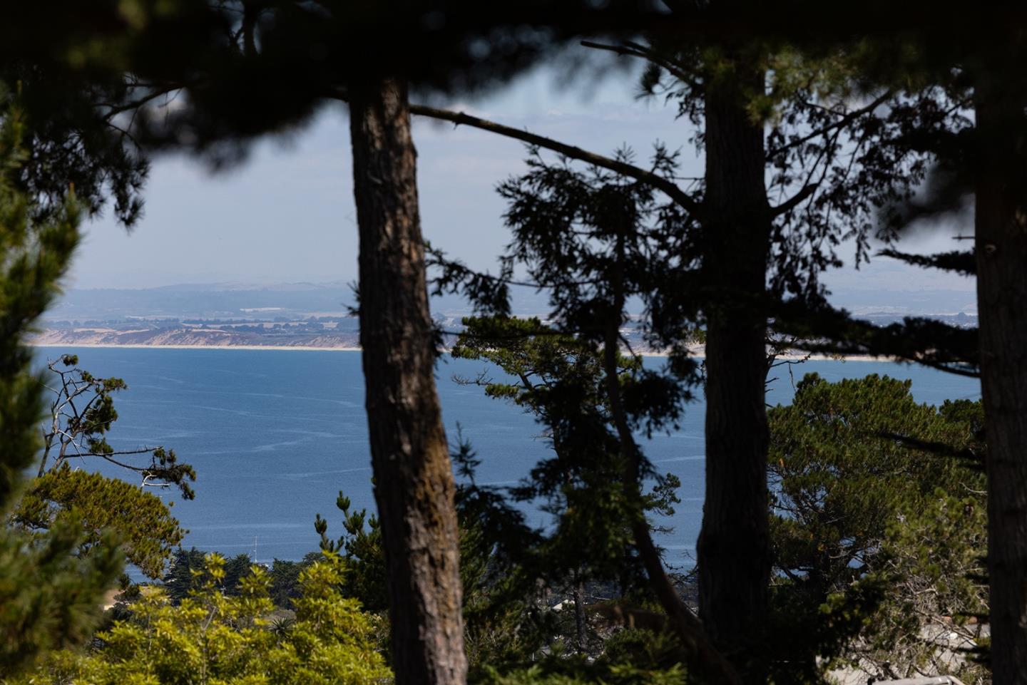 400 Dry Creek Road Monterey, CA 93940 - Photo 21 of 43 Gallery Image 21