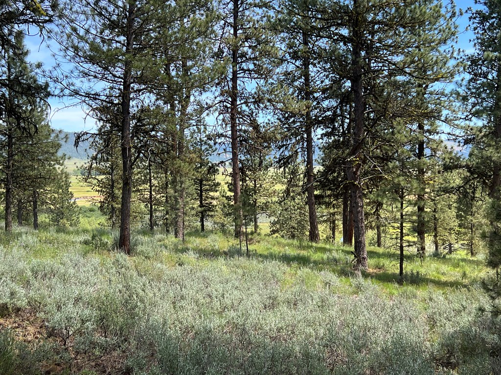 B22-l13 Vardon Road, Unit 13 New Meadows, ID 83654 - Photo 8 of 16
