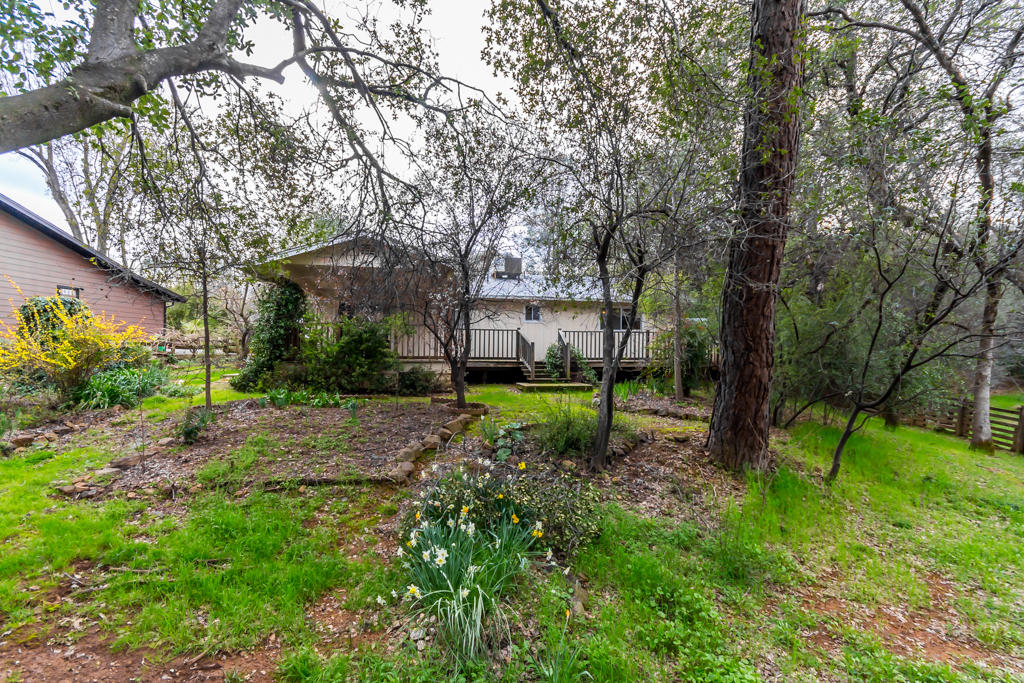 12651 Williamson Road Redding, CA 96003 - Photo 28 of 39 a view of a backyard with a garden