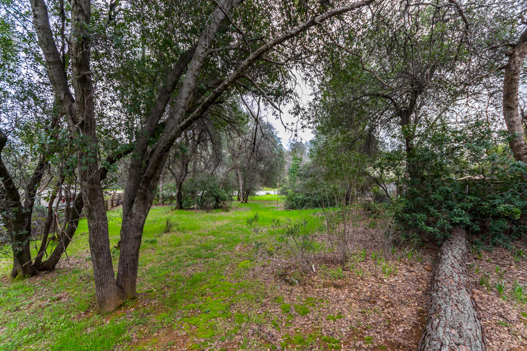 12651 Williamson Road Redding, CA 96003 - Photo 30 of 39 a view of outdoor space and yard