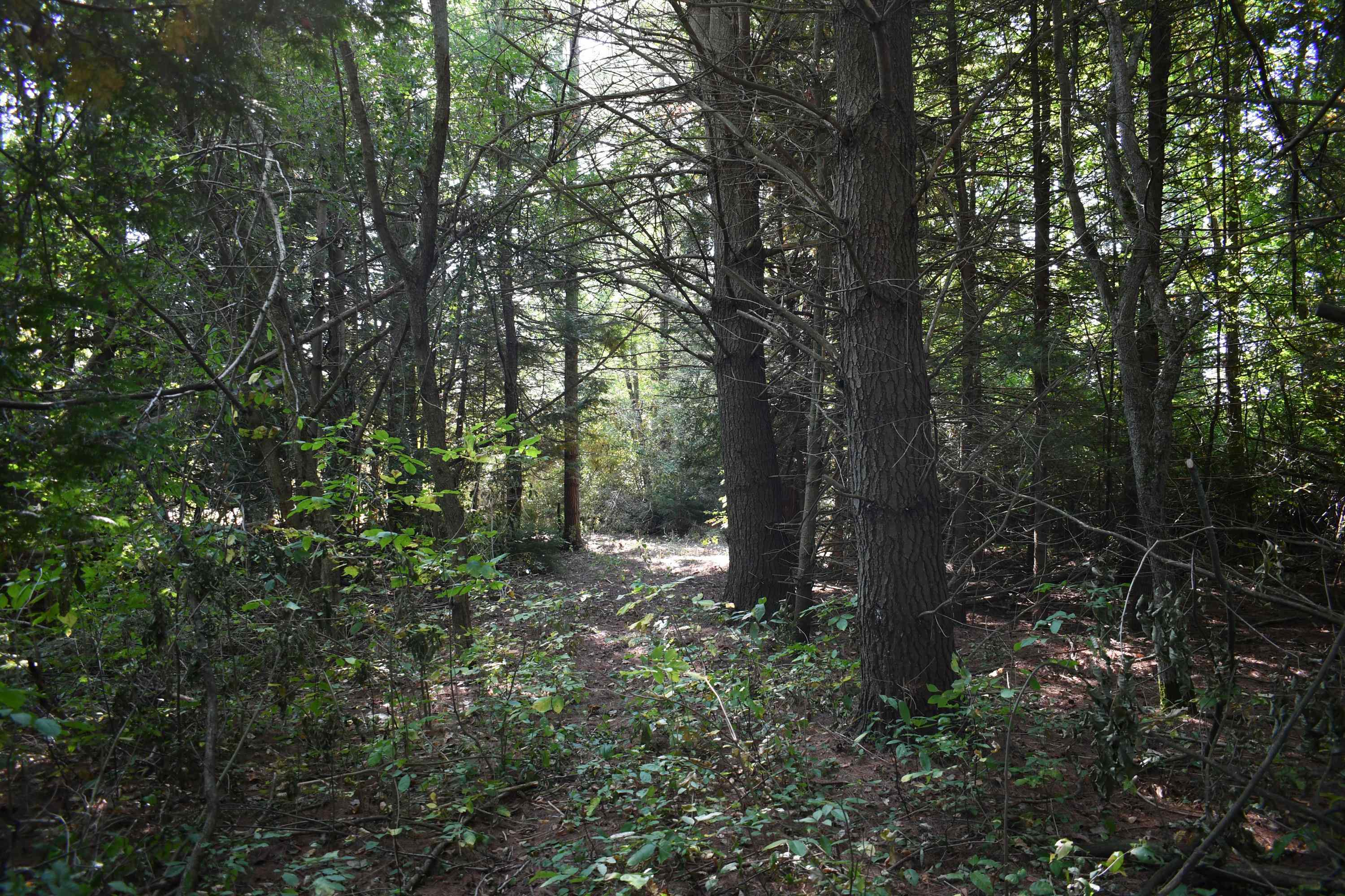 0 North Kobs Road Tawas City, MI 48763 - Photo 4 of 26