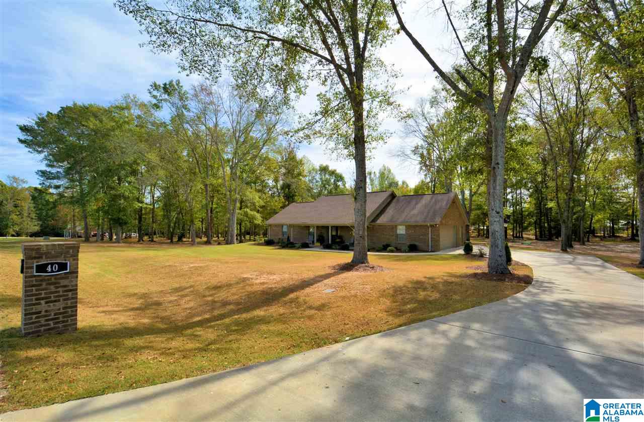 40 County Road 797 Clanton, AL 35045 - Photo 2 of 34