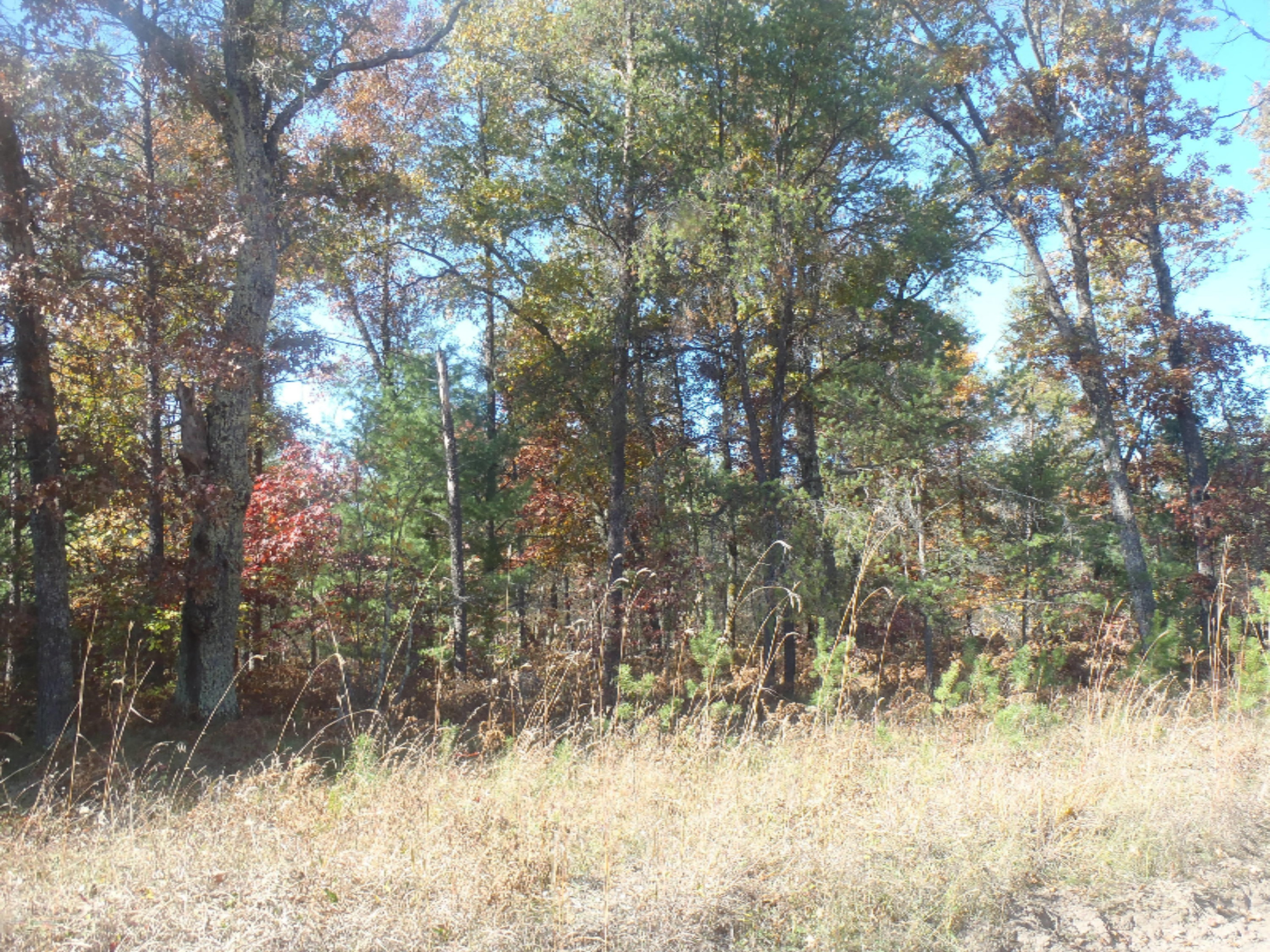 16 East 16 Mile Road Bitely, MI 49309 - Photo 1 of 1 main (4)
