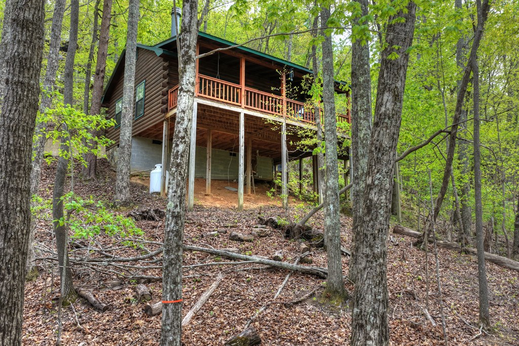 660 Ripshin Mountain Road Blue Ridge, GA 30513 - Photo 28 of 40