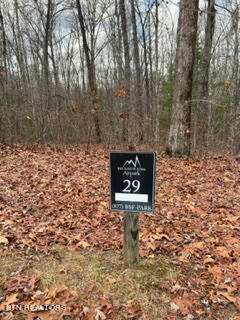 Big South Fork Airpark Lot 29