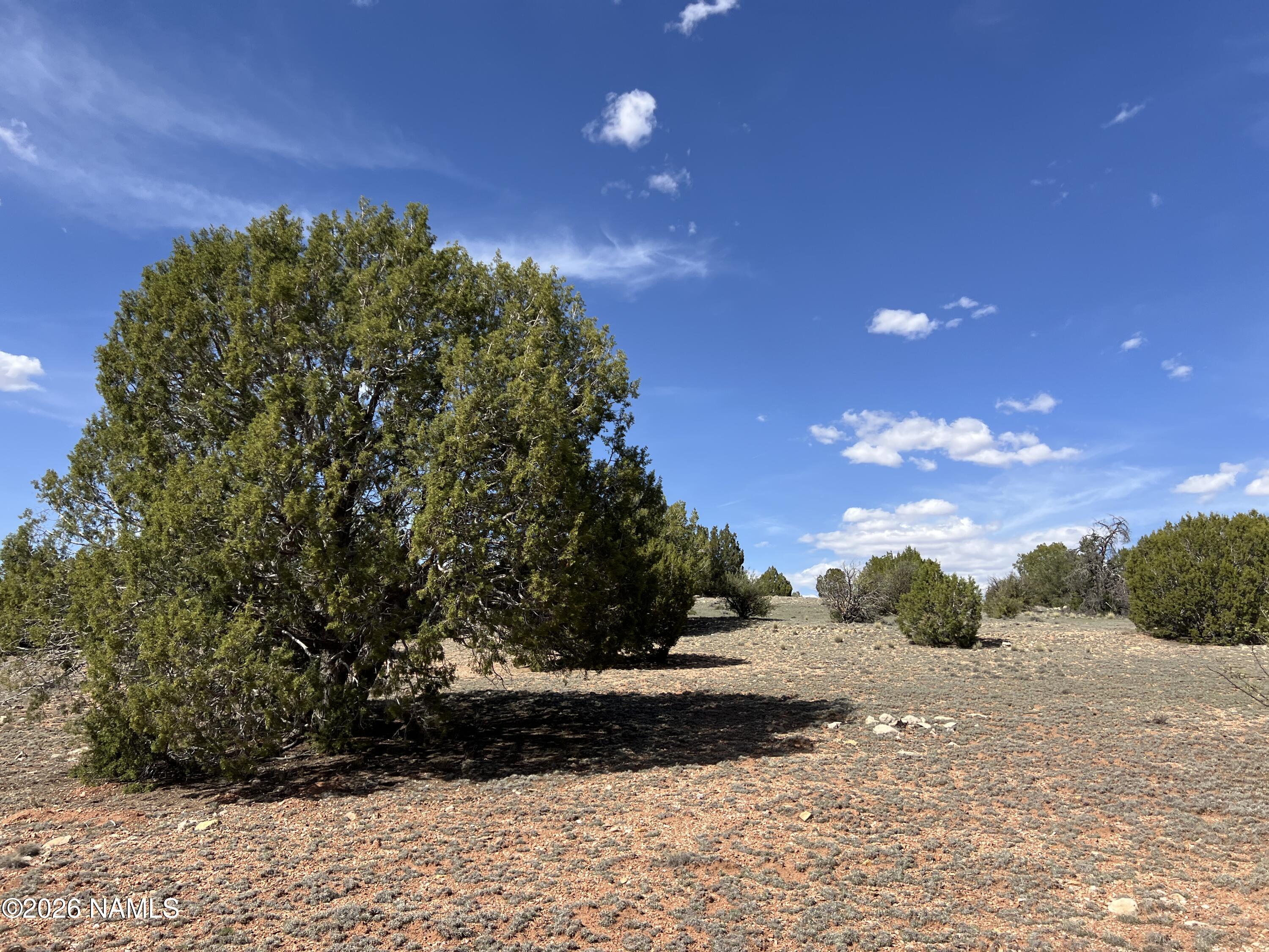 10747 Espee Road Williams, AZ 86046 - Photo 13 of 18 a view of a yard with yellow lighting