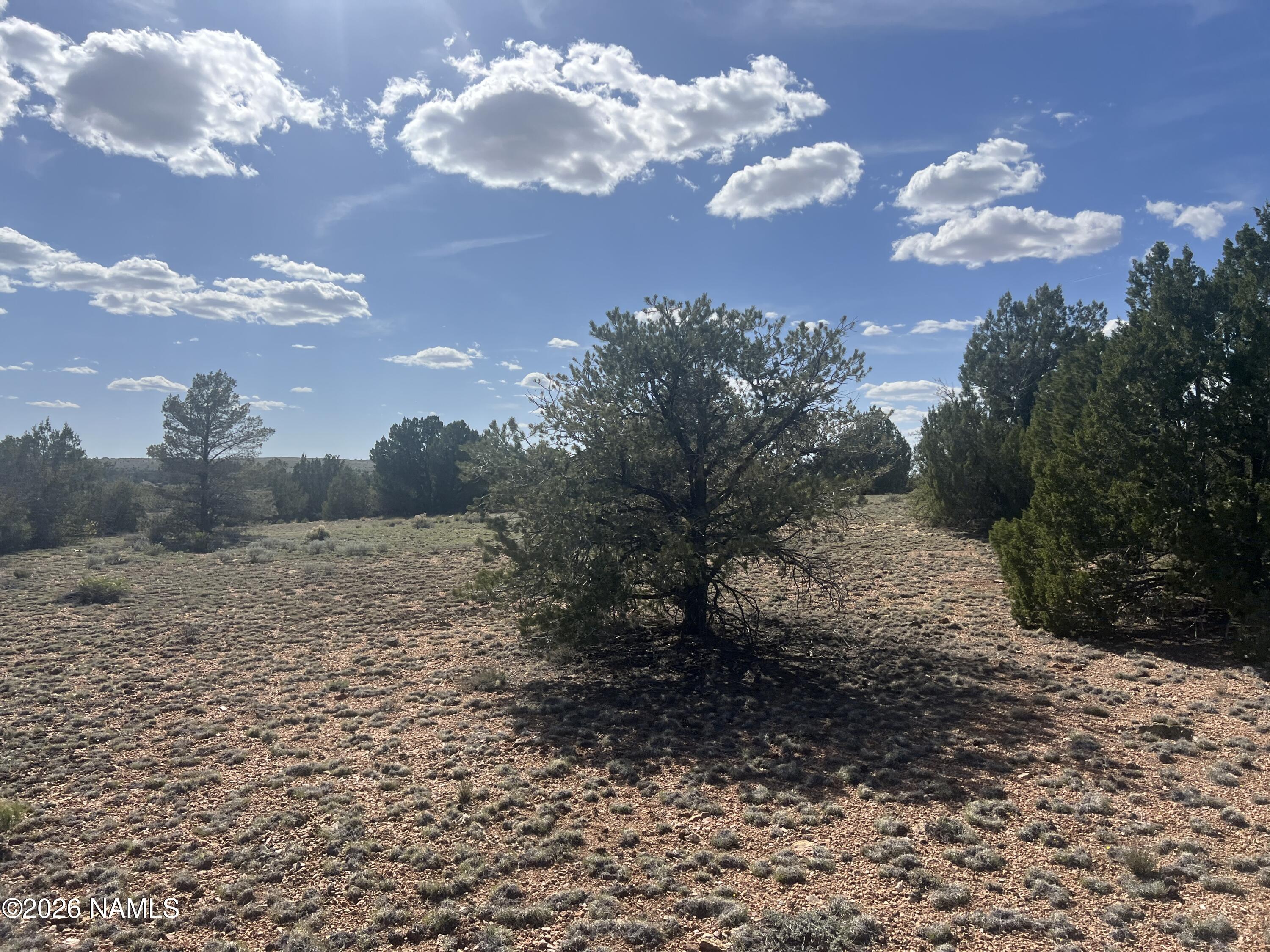 10747 Espee Road Williams, AZ 86046 - Photo 14 of 18 a view of a yard with a house