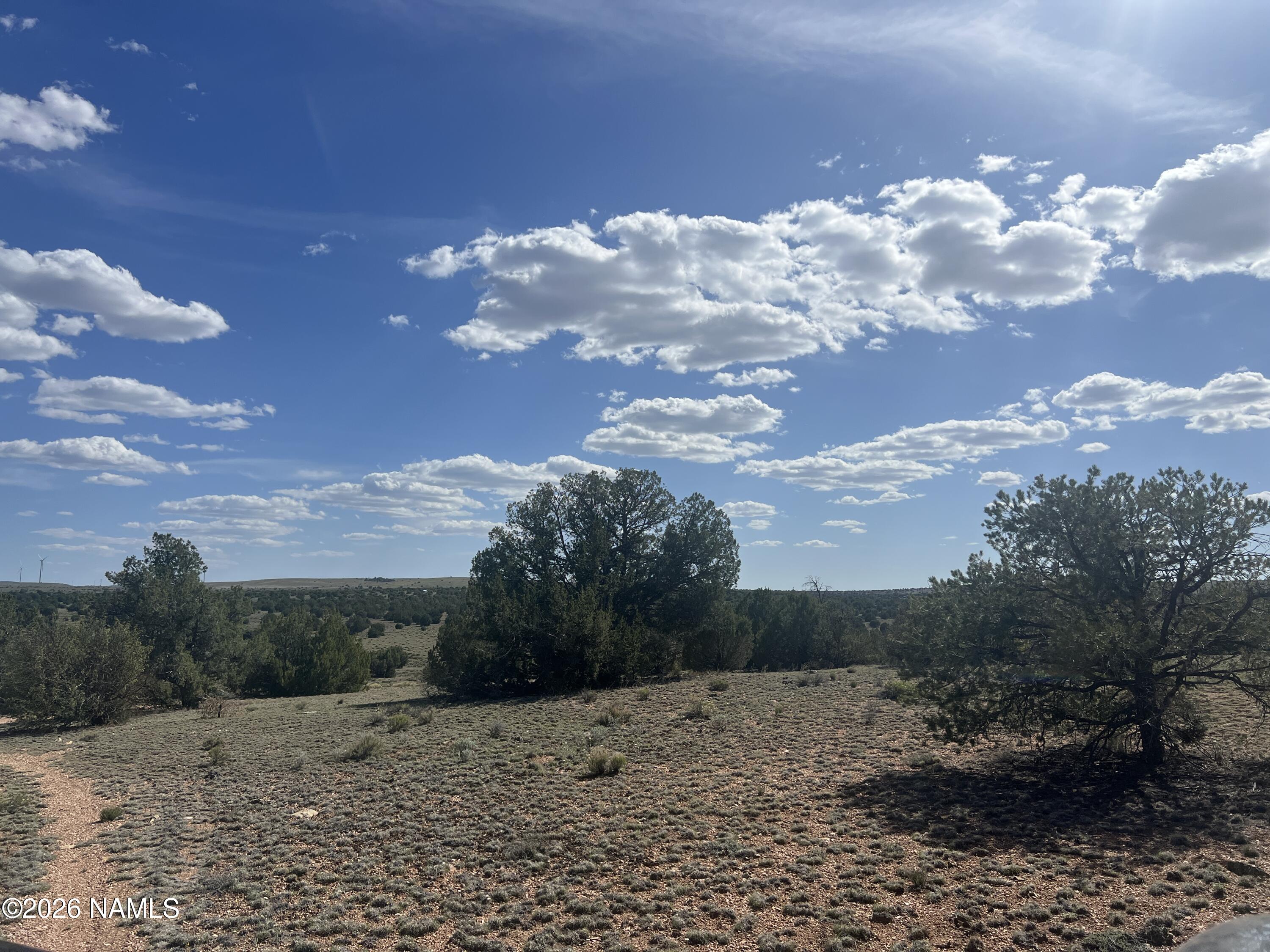 10747 Espee Road Williams, AZ 86046 - Photo 15 of 18 a view of a dry yard