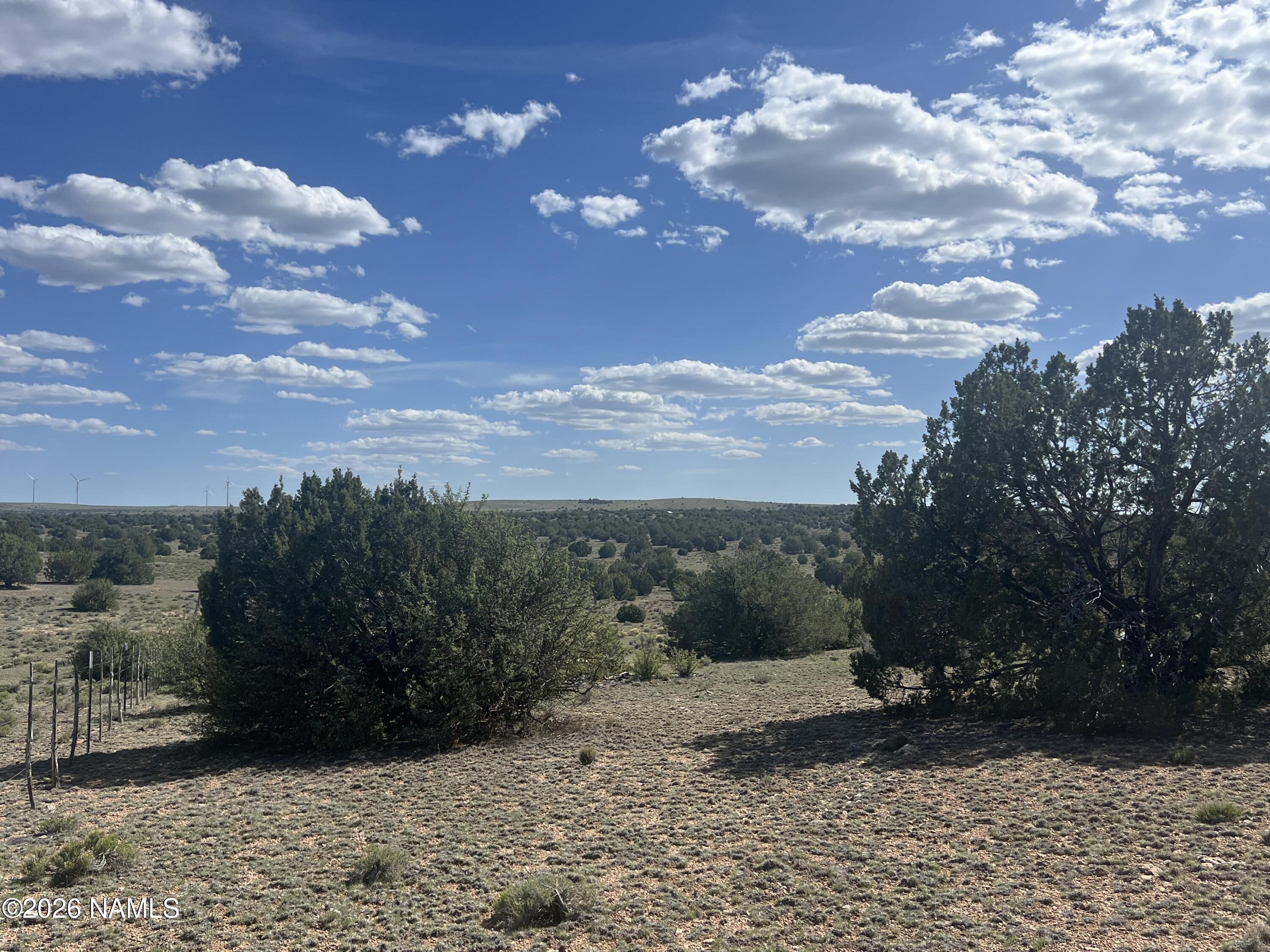 10747 Espee Road Williams, AZ 86046 - Photo 17 of 18 a view of a yard
