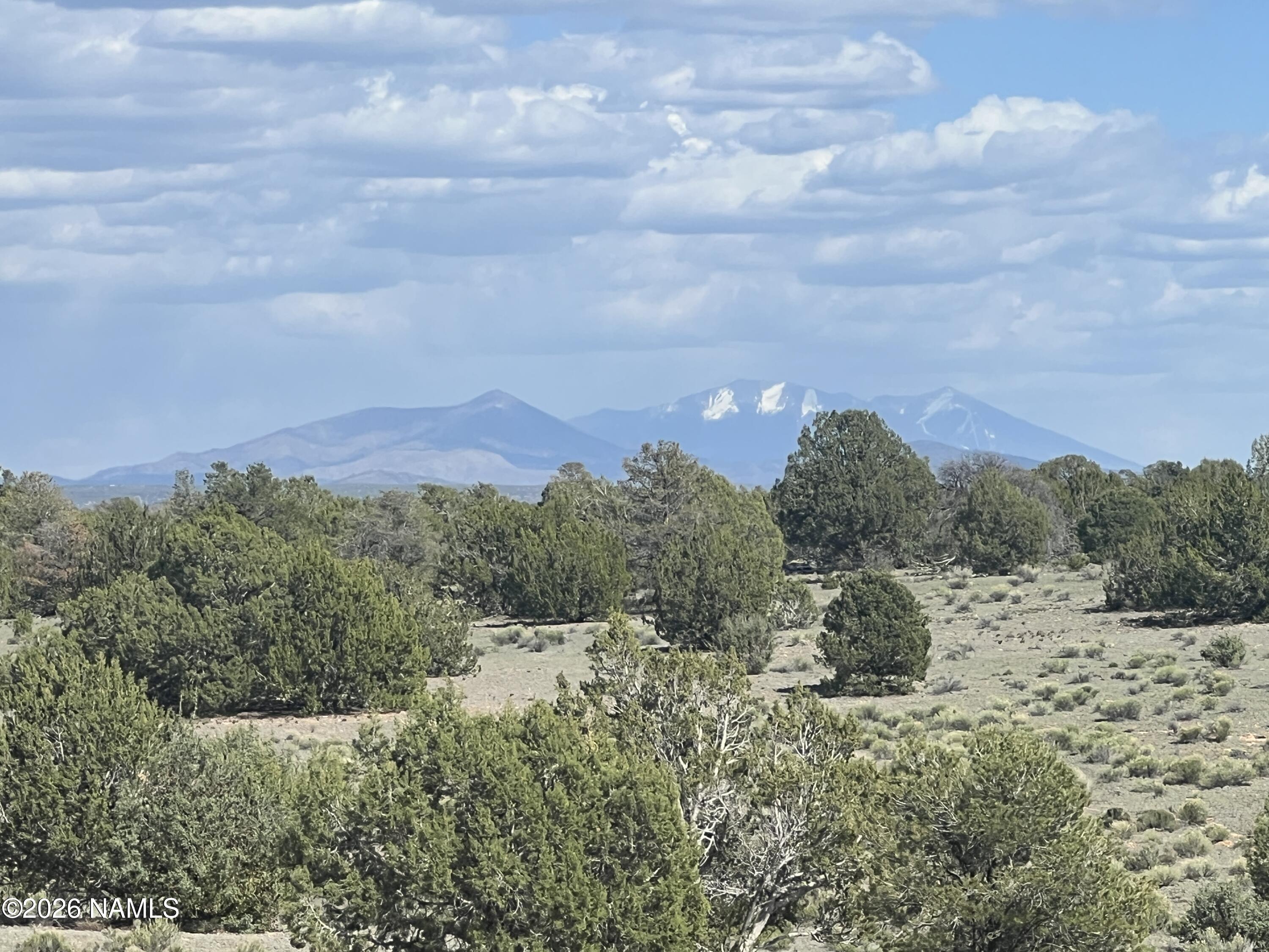 10747 Espee Road Williams, AZ 86046 - Photo 2 of 18 a view of a bunch of trees and bushes