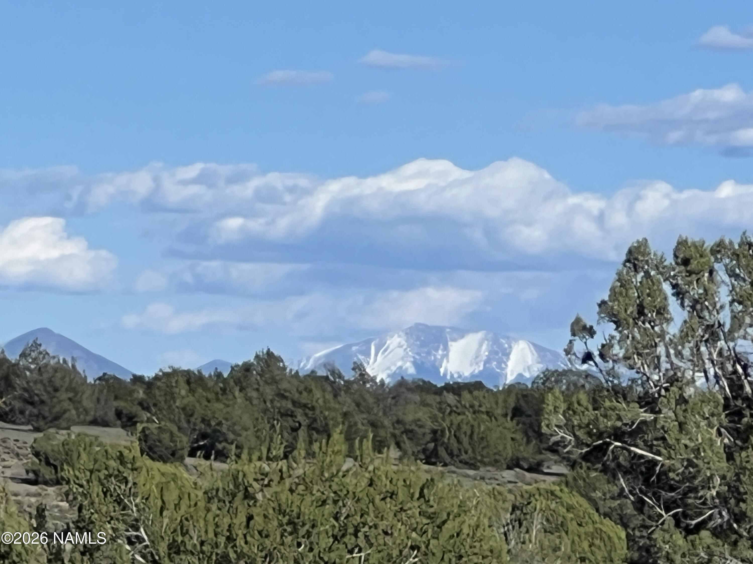 10747 Espee Road Williams, AZ 86046 - Photo 5 of 12 IMG_0700