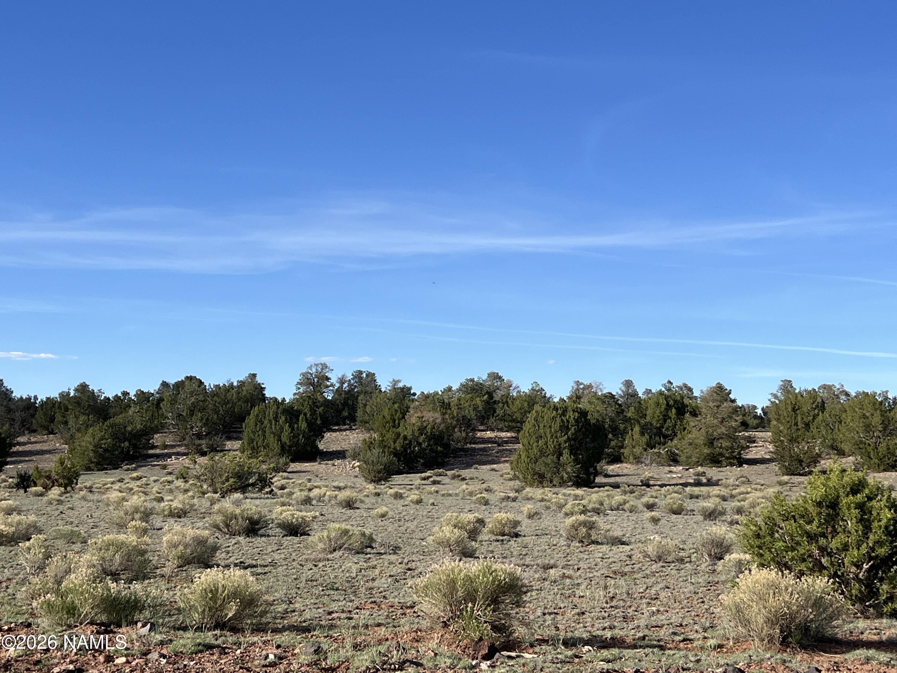 10747 Espee Road Williams, AZ 86046 - Photo 6 of 12 IMG_0704