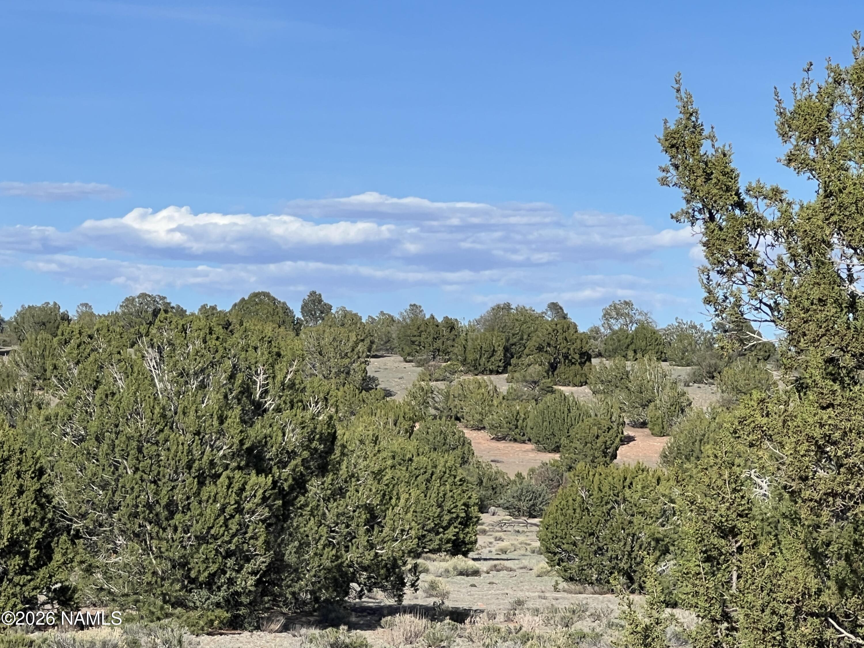 10747 Espee Road Williams, AZ 86046 - Photo 7 of 12 IMG_0699