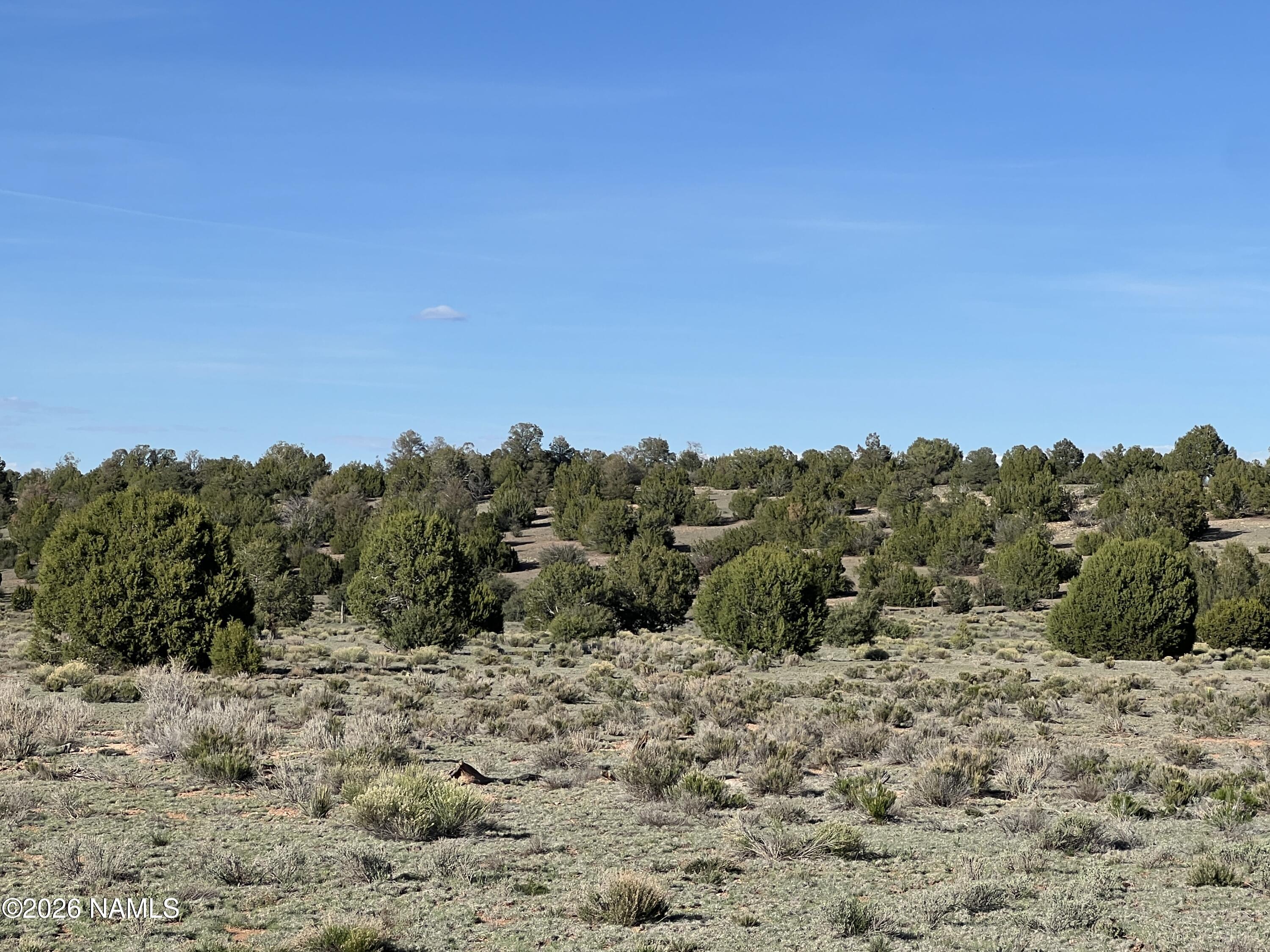 10747 Espee Road Williams, AZ 86046 - Photo 8 of 12 IMG_0698