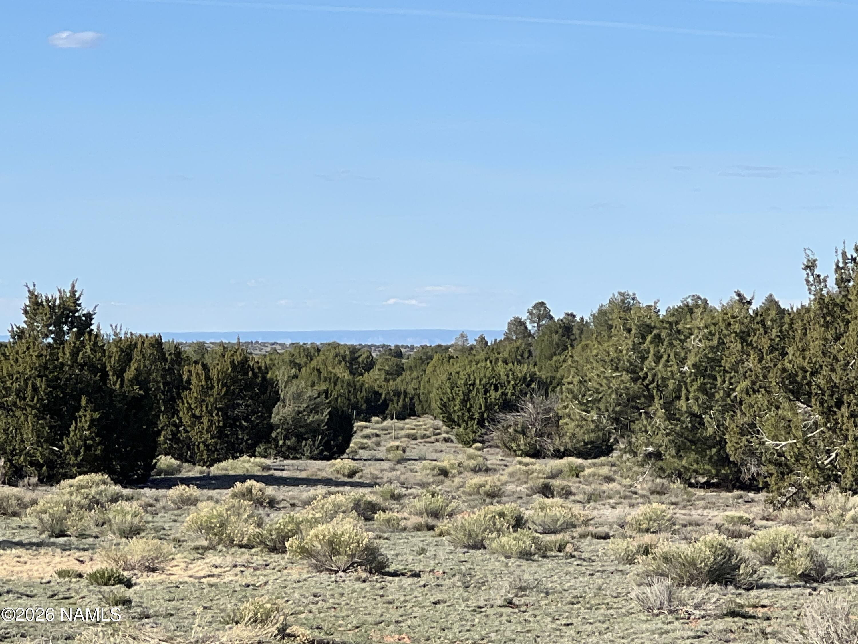 10747 Espee Road Williams, AZ 86046 - Photo 9 of 12 IMG_0697