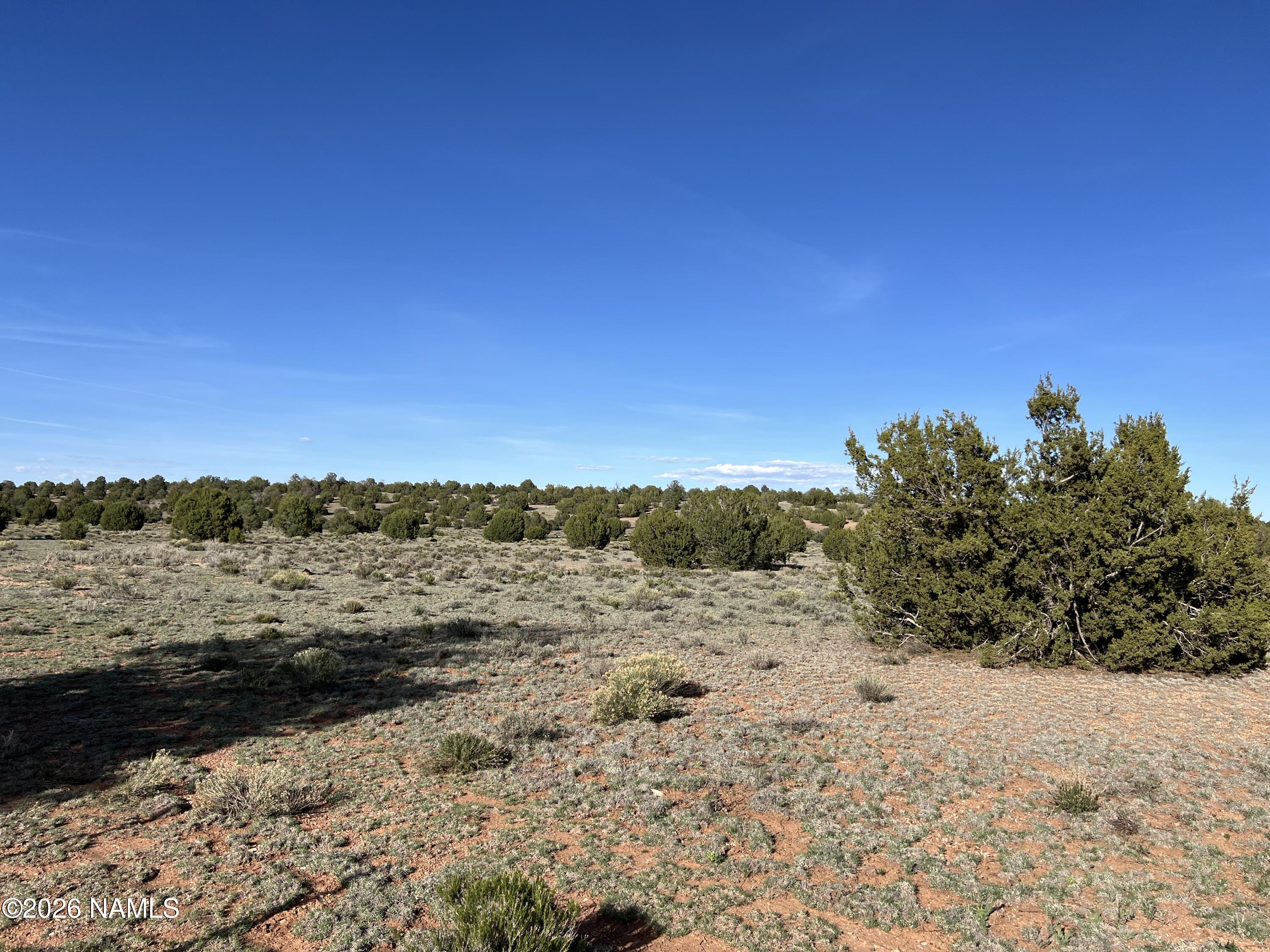 10747 Espee Road Williams, AZ 86046 - Photo 10 of 12 IMG_0695