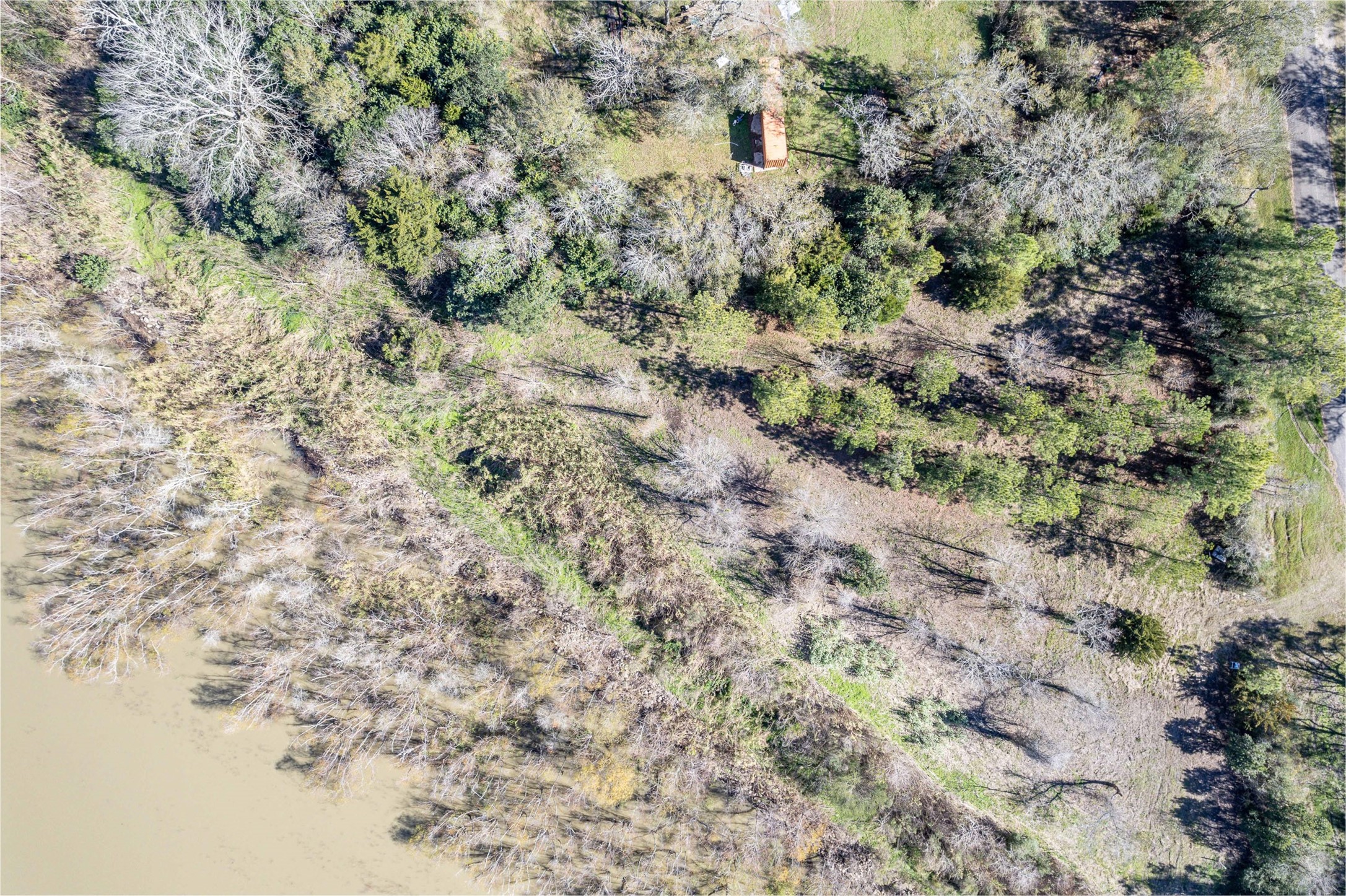 0 Fahring Street Anahuac, TX 77514 - Photo 11 of 11 a view of a dry yard with a dry yard