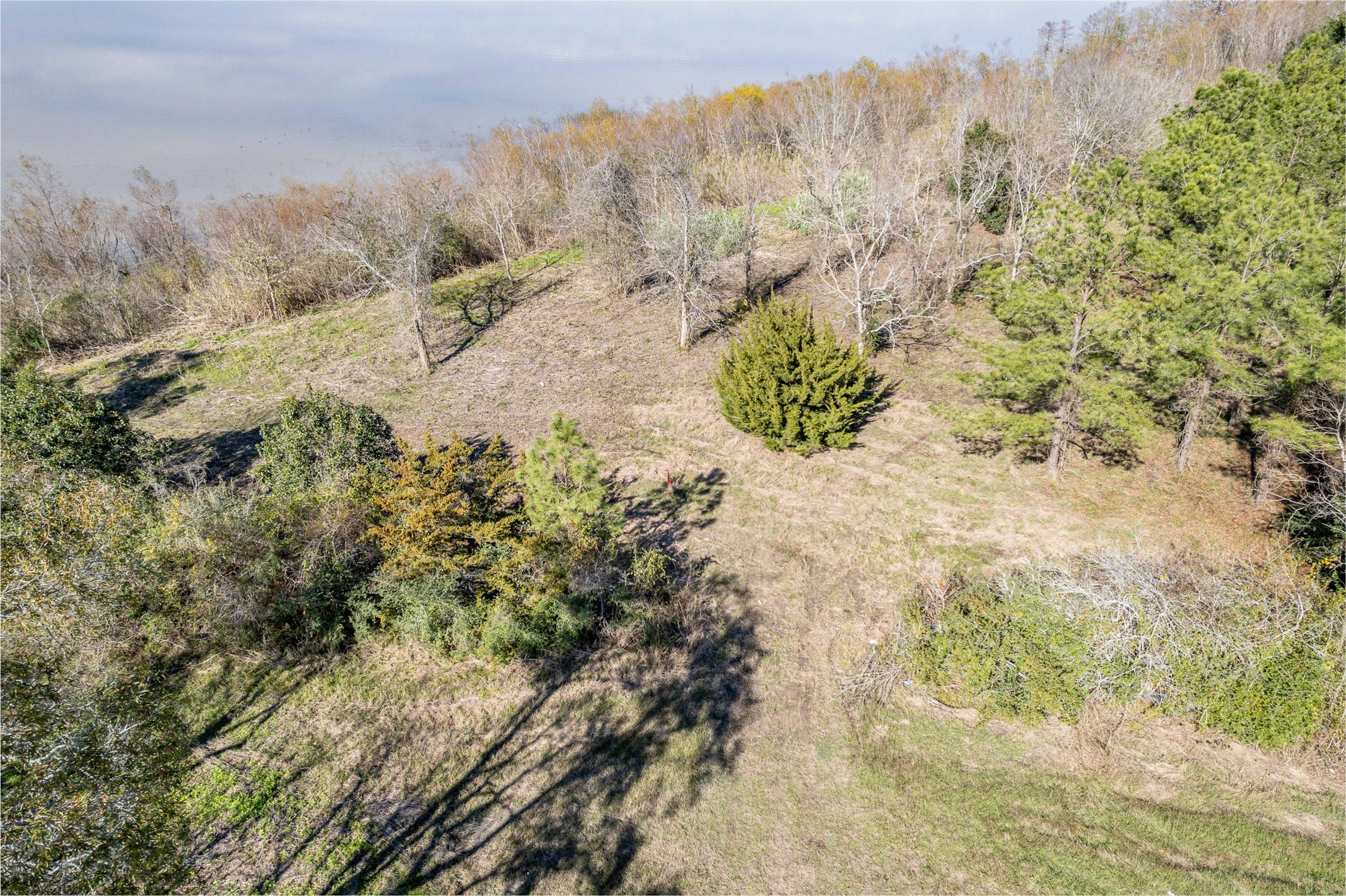 0 Fahring Street Anahuac, TX 77514 - Photo 6 of 11 a view of a yard with trees