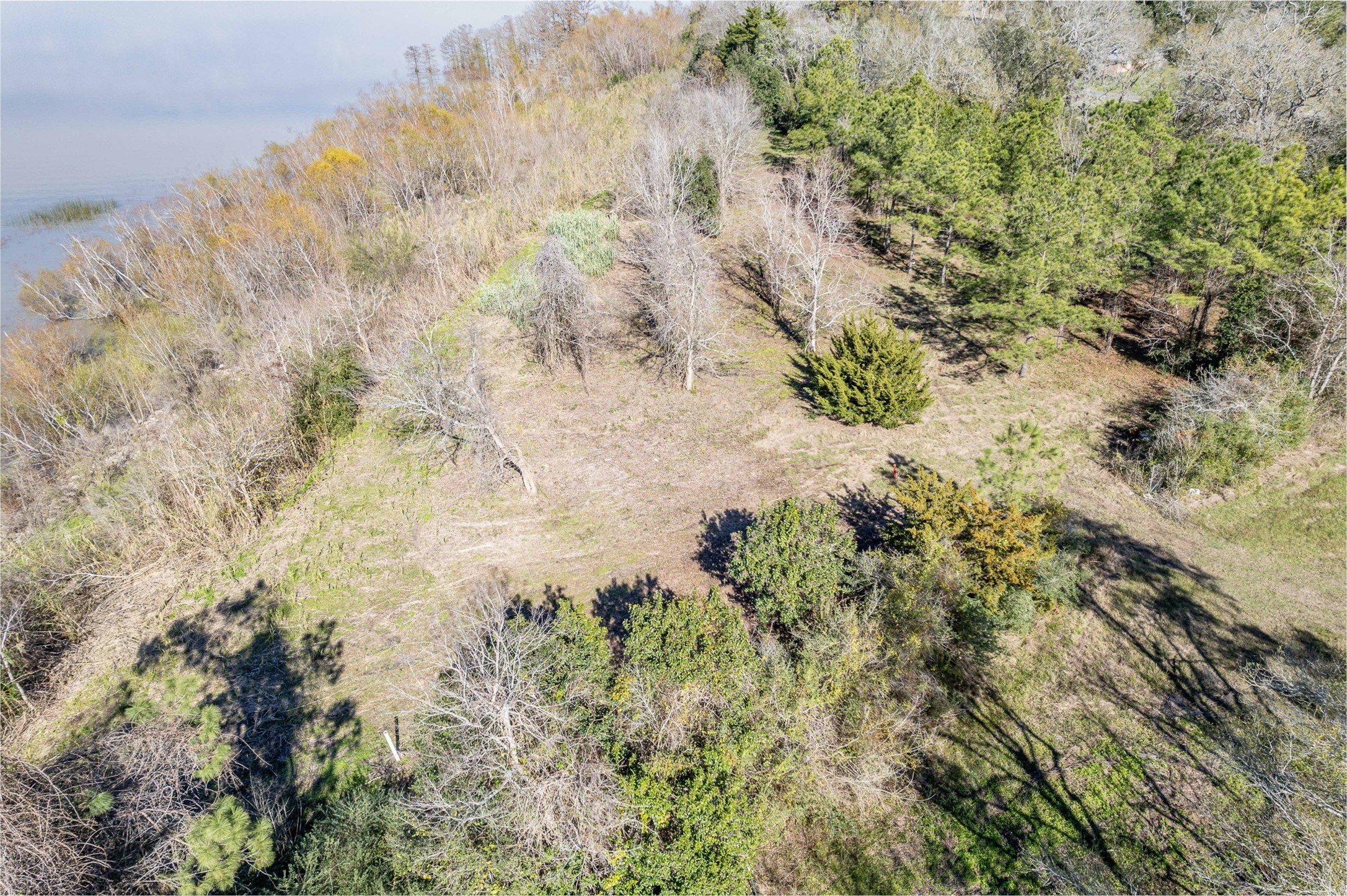 0 Fahring Street Anahuac, TX 77514 - Photo 8 of 11 a view of a dry yard
