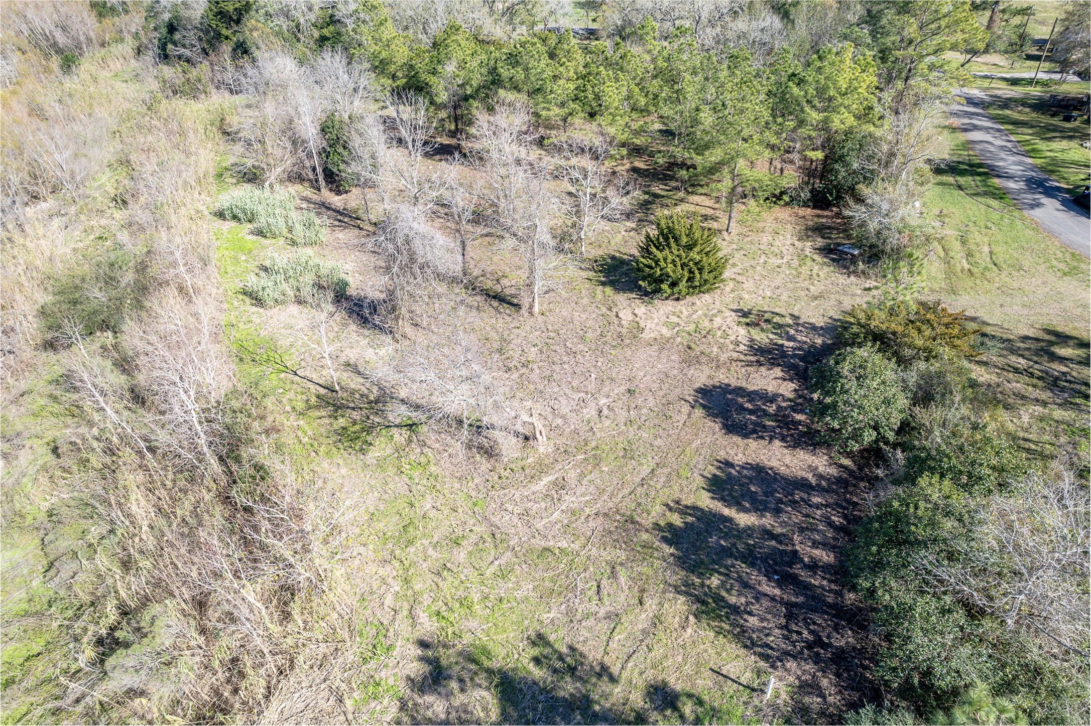 0 Fahring Street Anahuac, TX 77514 - Photo 9 of 11 a view of a yard with a trees