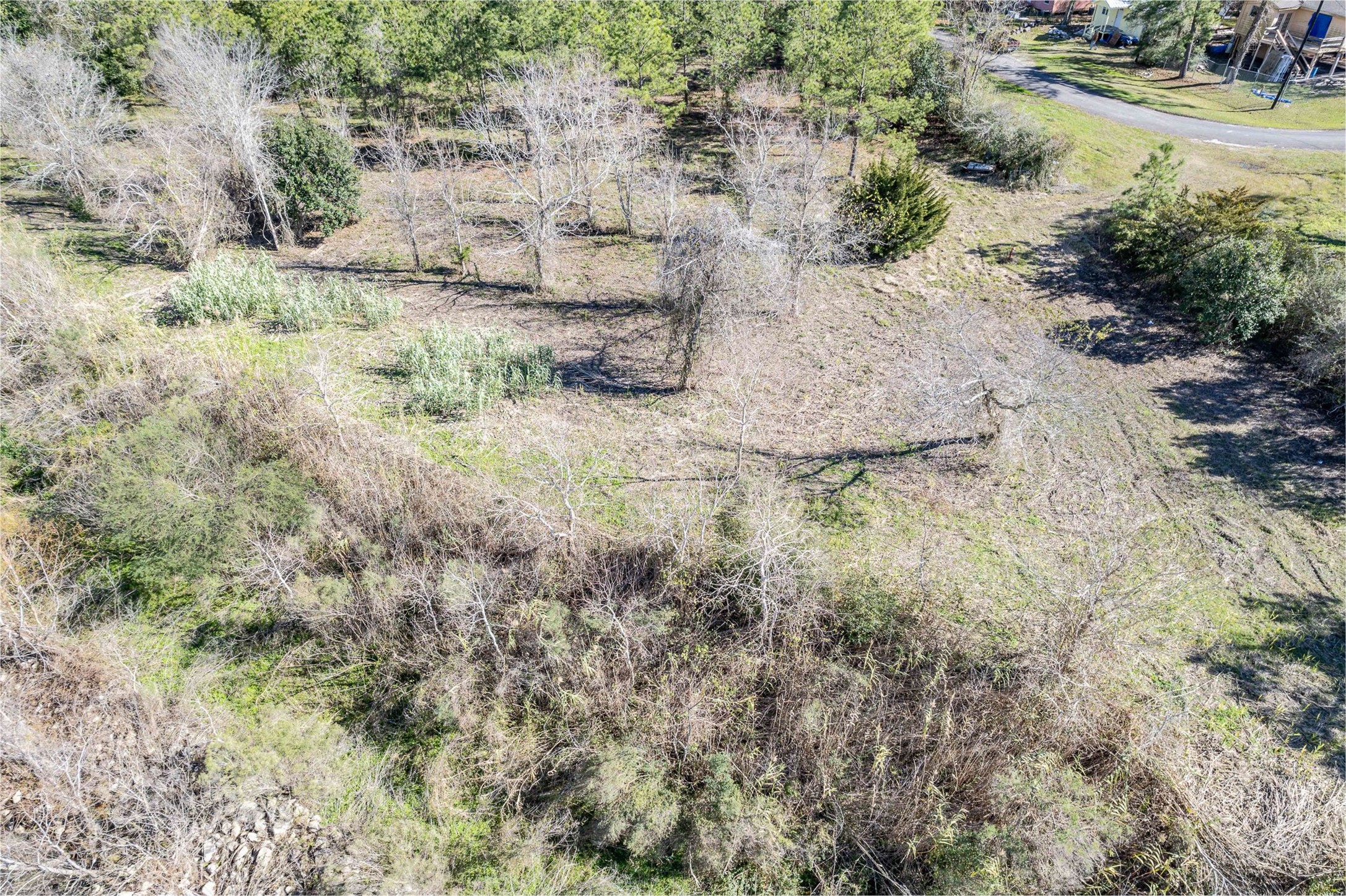 0 Fahring Street Anahuac, TX 77514 - Photo 10 of 11 a view of a yard with a tree