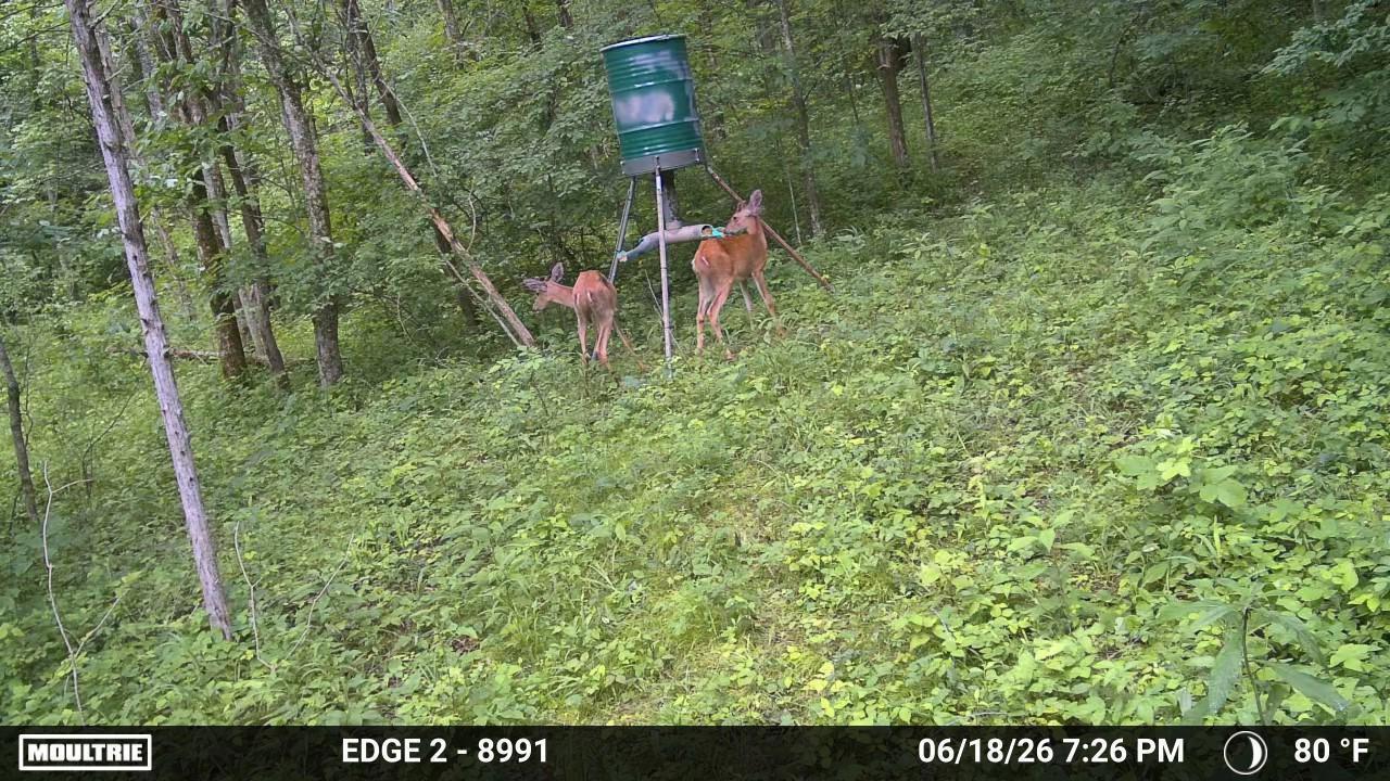 10792 New Columbus Road Owenton, KY 40359 - Photo 4 of 22 WL4