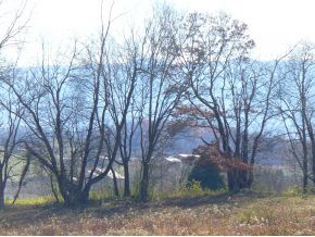 0 Garland Road, Unit 4 5 7 8 Limestone, TN 37681 - Photo 3 of 6 Photo 3